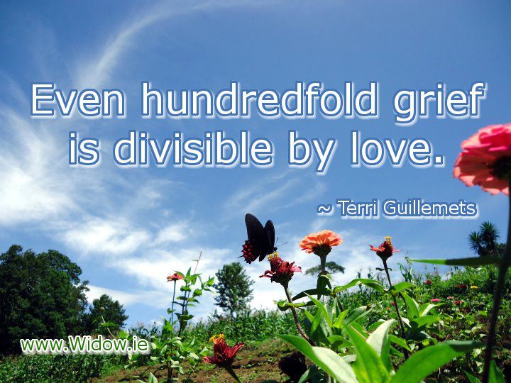 grief divisible by love