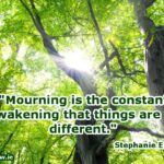 Mourning is the constant awakening