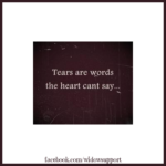 tears are words the heart can't say