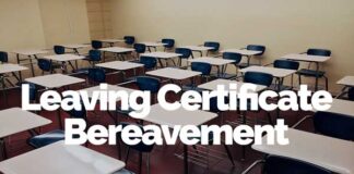 Bereaved Leaving Cert Students New Pilot Scheme