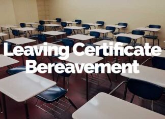 Bereaved Leaving Cert Students New Pilot Scheme