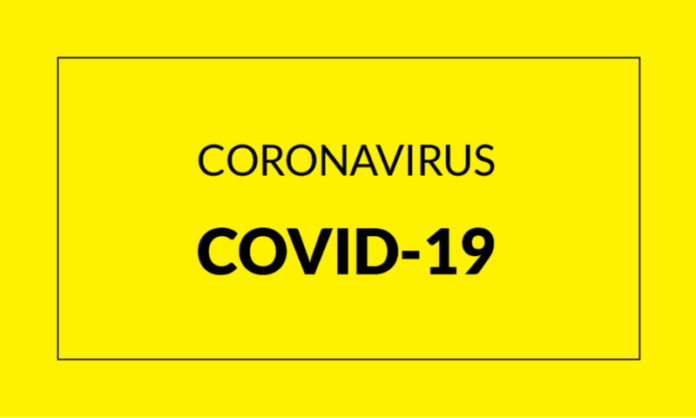 widowed COVID-19 Pandemic Unemployment Payment form Widowed COVID-19 Pandemic Unemployment Payment form