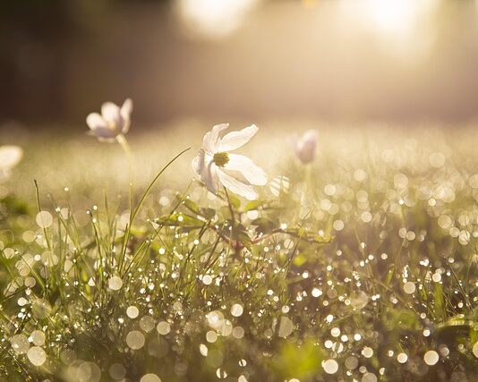 when blue skies return peaceful spring morning