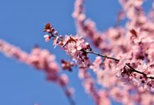 Does Grief Get Easier After Losing a Spouse? does grief get easier