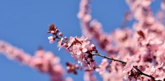 Does Grief Get Easier After Losing a Spouse? does grief get easier