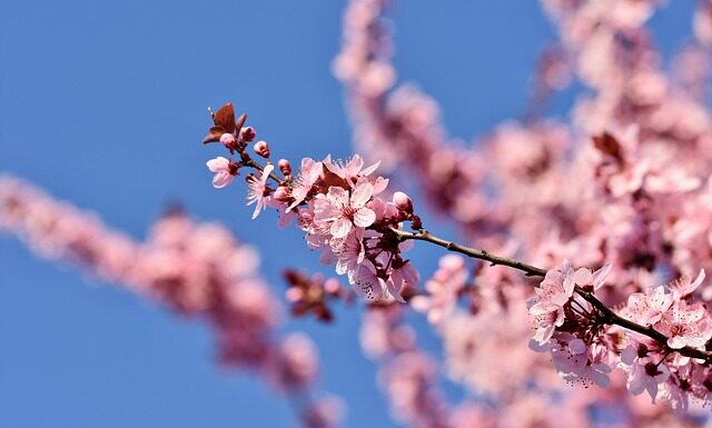 does grief get easier